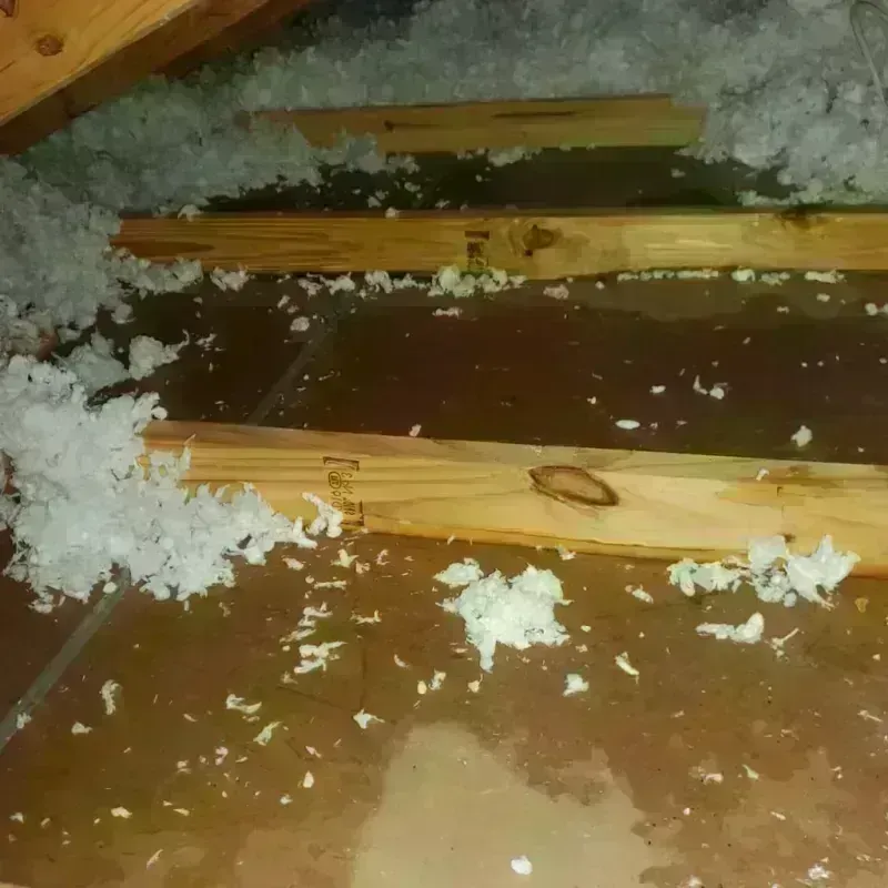 Attic Water Damage in New Cumberland, WV