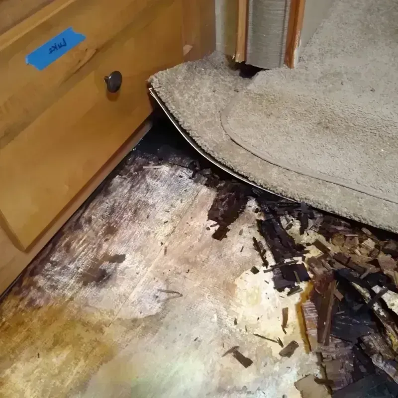 Wood Floor Water Damage in New Cumberland, WV